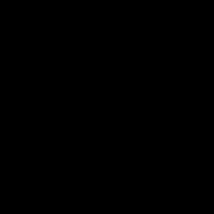 Meet your Posher, Ella